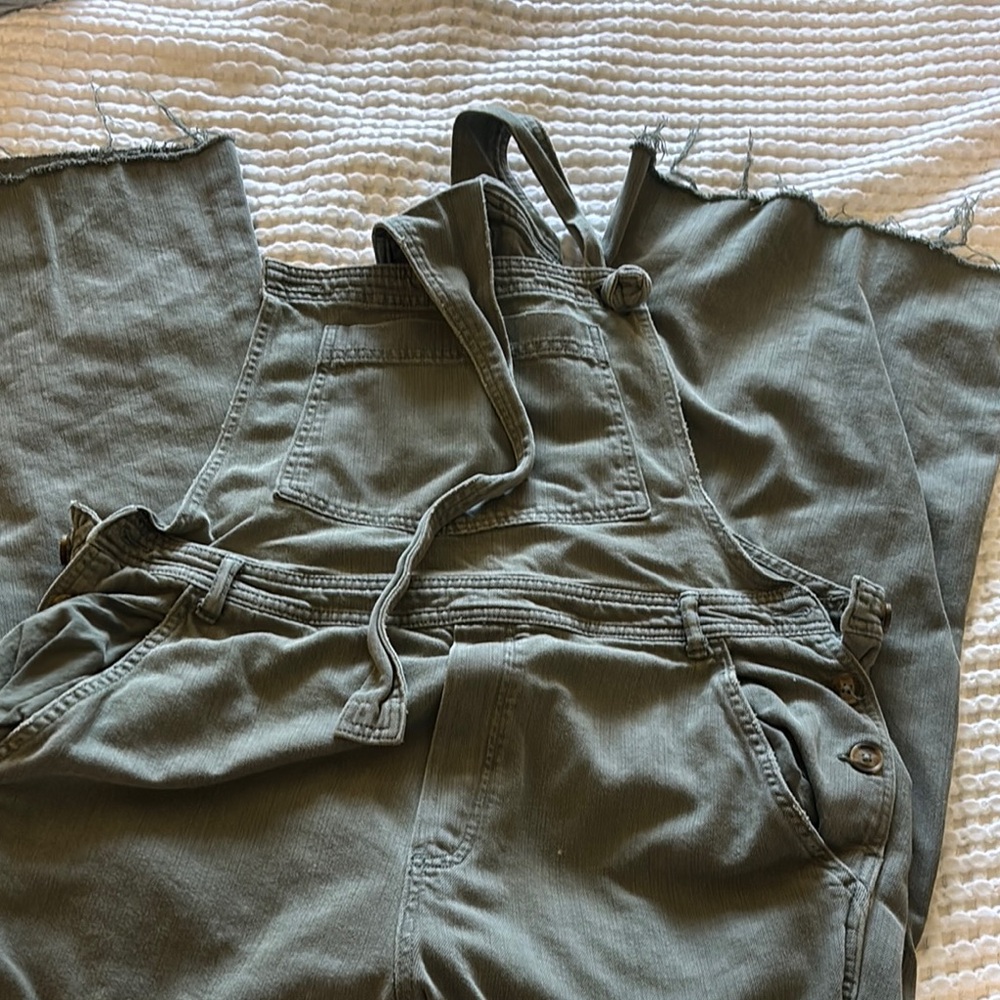 Aerie Sage Green Casual Overalls